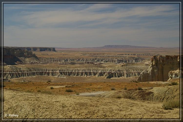 USA 2007 Tag10 067.jpg - Coal Mine Canyon